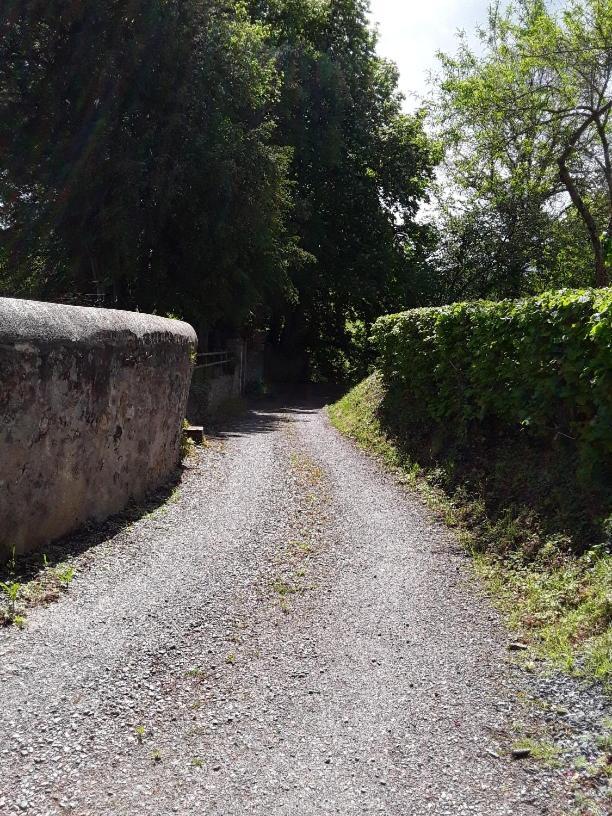 La Petite Bardouillere Βίλα Courdemanche  Εξωτερικό φωτογραφία