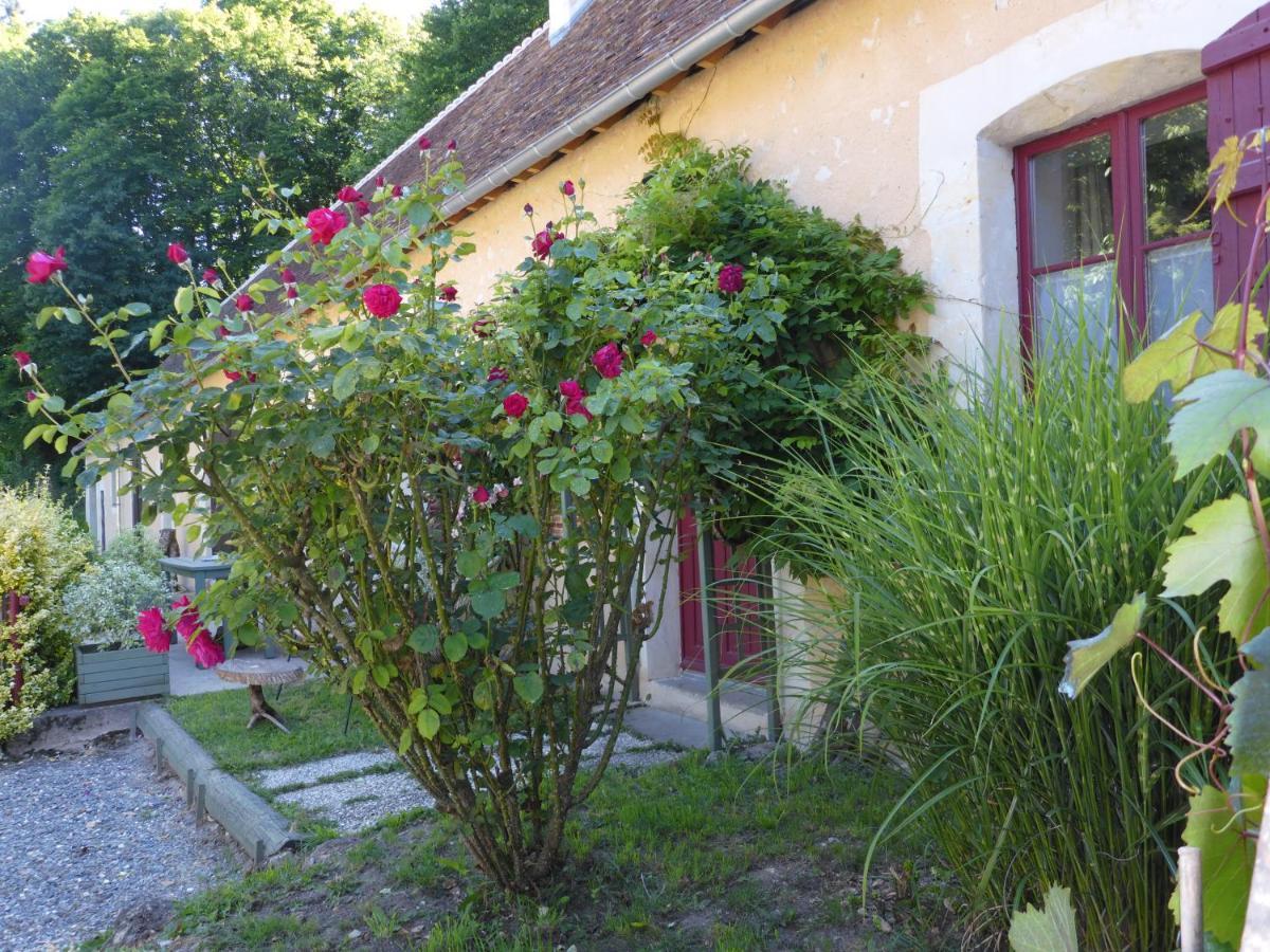 La Petite Bardouillere Βίλα Courdemanche  Εξωτερικό φωτογραφία